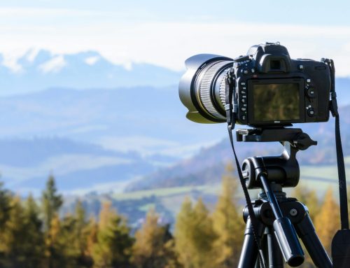 Photography Basics: Understanding ISO, Aperture, and Shutter Speed
